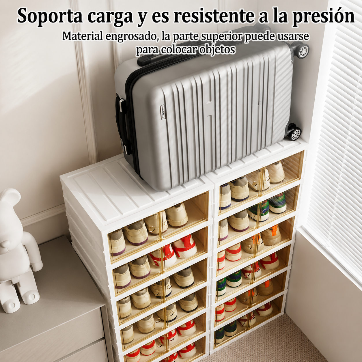Organizador de Zapatos de 6 Niveles Premium🥾